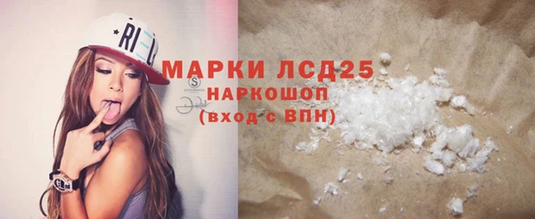 стаф Арсеньев