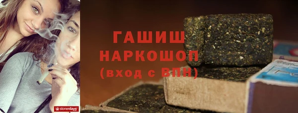 стаф Арсеньев