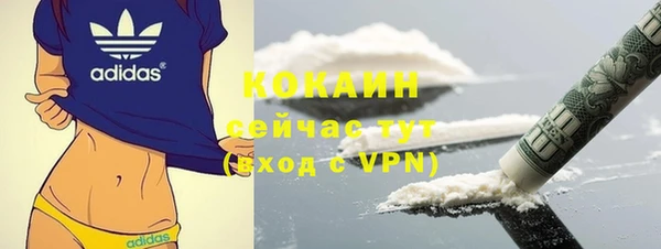 стаф Арсеньев