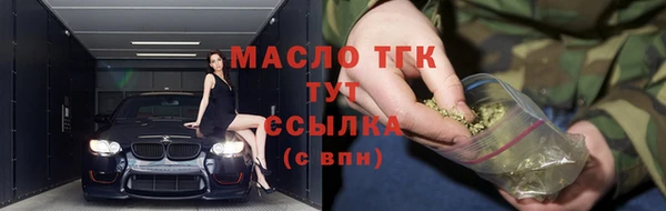 стаф Арсеньев