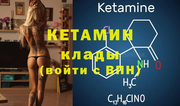стаф Арсеньев